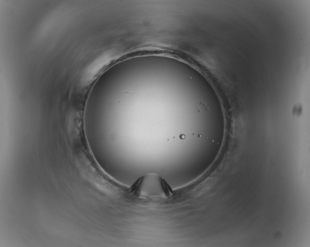 X0000111231355200907021349