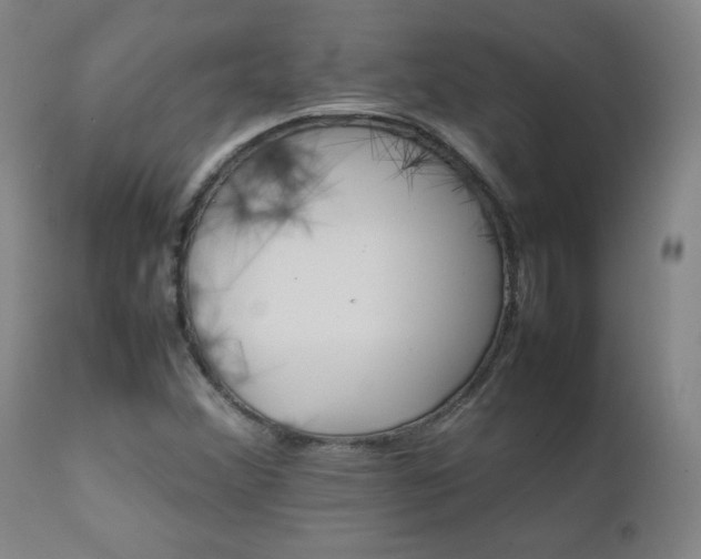 X0000111231356200907021349