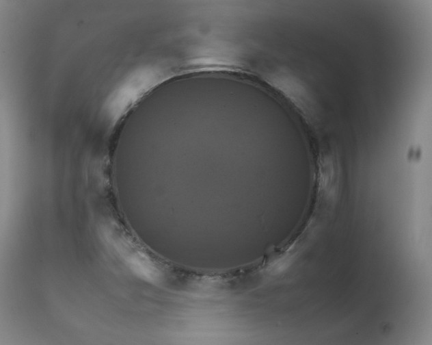 X0000111231357200907021349