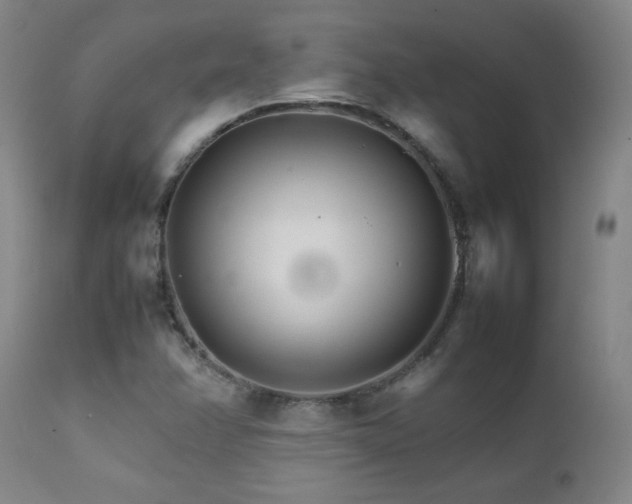 X0000111231358200907021349