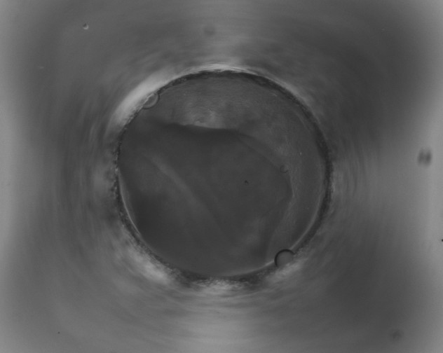 X0000111231359200907021349