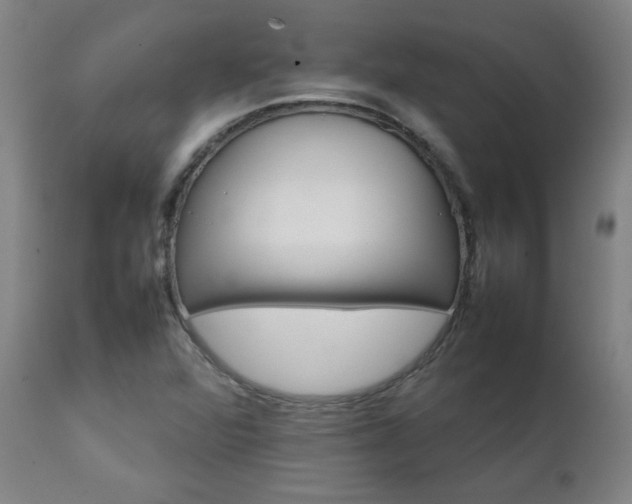 X0000111231360200907021349