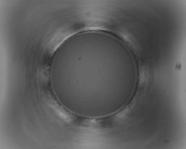 X0000111231361200907021349