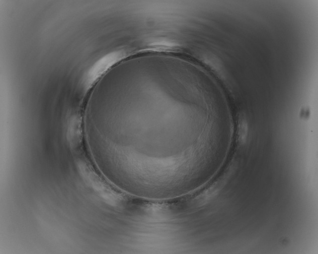 X0000111231362200907021349