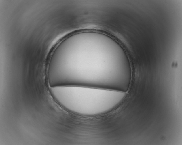 X0000111231364200907021349