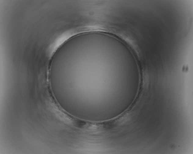 X0000111231365200907021349