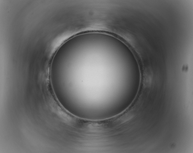 X0000111231366200907021349