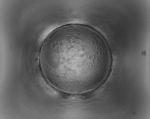 X0000111231367200907021349