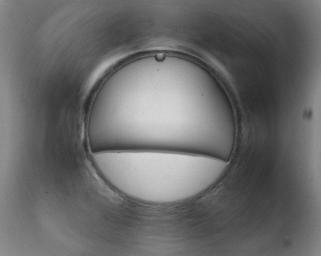 X0000111231368200907021349
