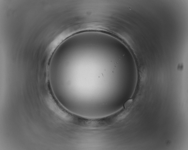 X0000111231371200907021349