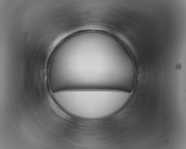 X0000111231372200907021349