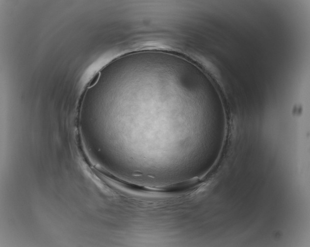 X0000111231373200907021349