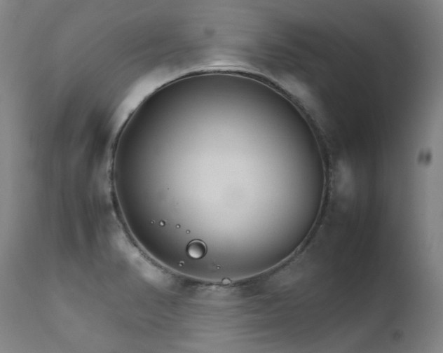 X0000111231374200907021349