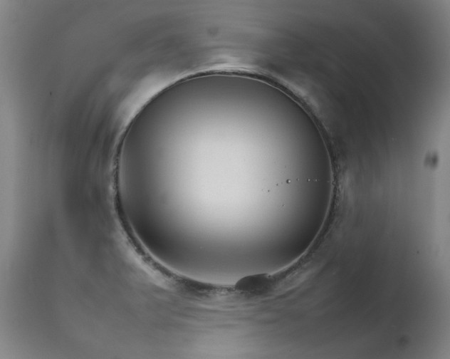 X0000111231375200907021349