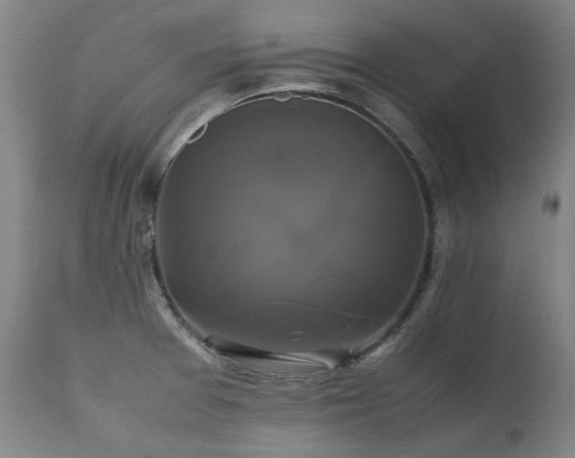 X0000111231377200907021348