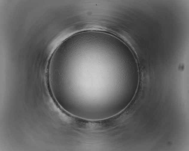 X0000111231379200907021348