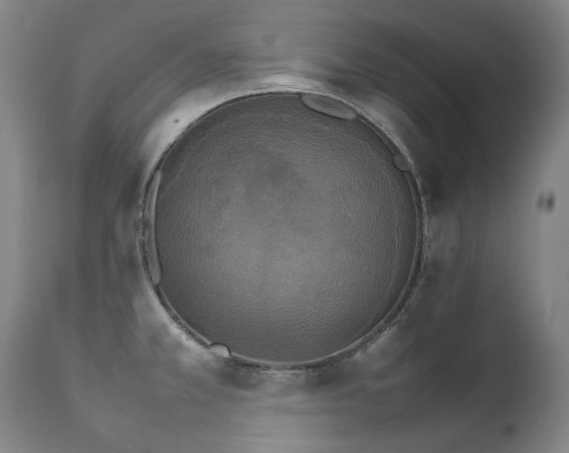 X0000111231381200907021348