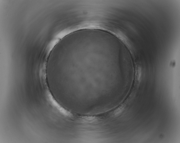 X0000111231382200907021348