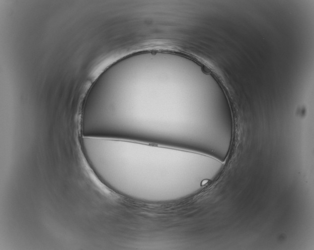 X0000111231383200907021348