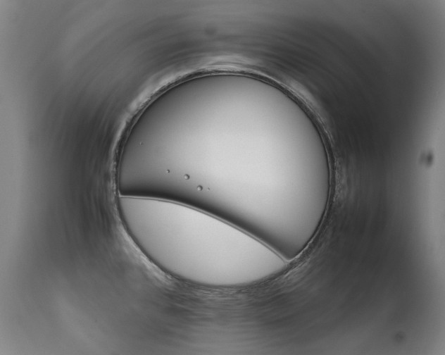 X0000111231384200907021348