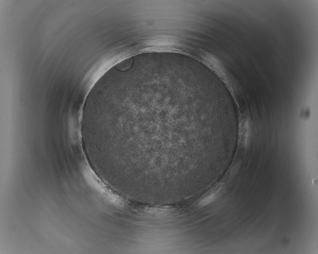 X0000111231386200907021348