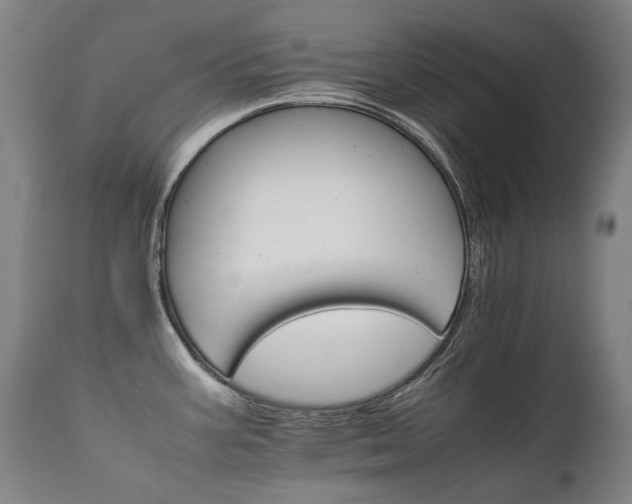 X0000111231387200907021348