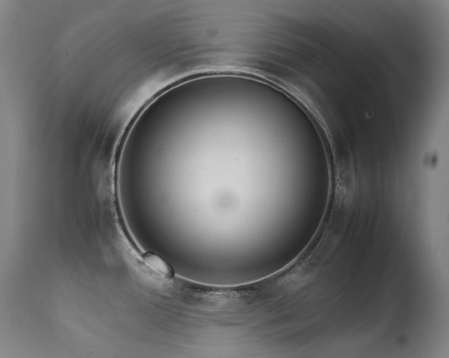 X0000111231388200907021348