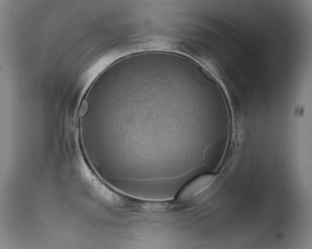 X0000111231389200907021348