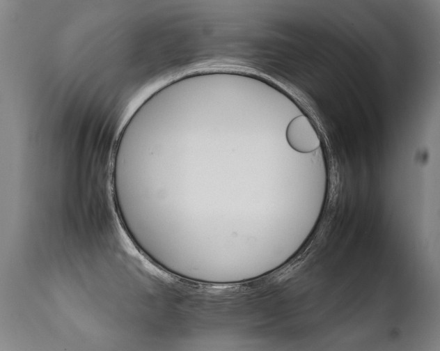 X0000111231390200907021348