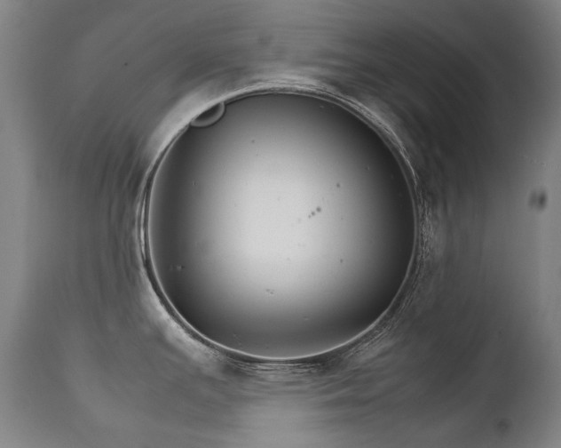 X0000111231391200907021348