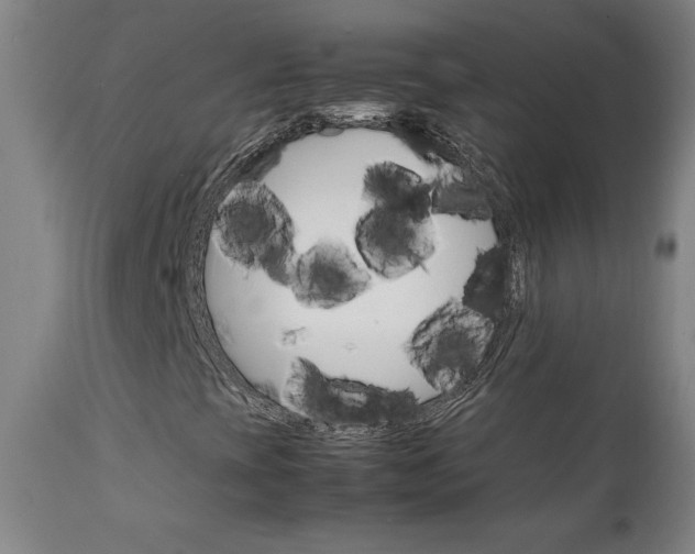 X0000111231393200907021348