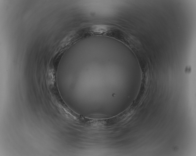 X0000111231394200907021348
