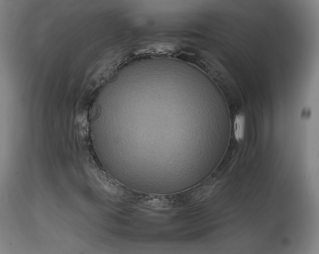 X0000111231395200907021348