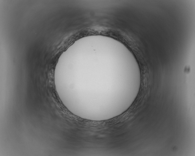 X0000111231397200907021348