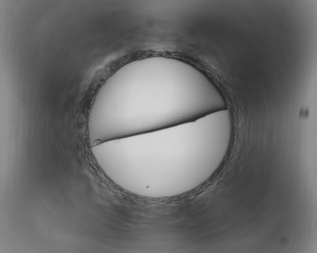 X0000111231398200907021348