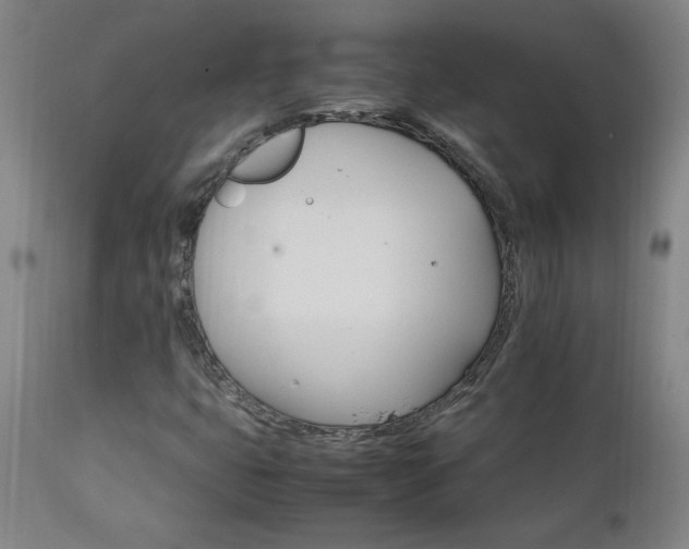 X0000111231399200907021348