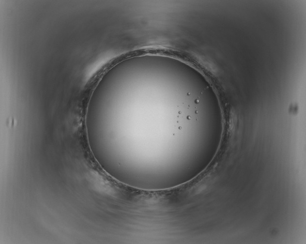 X0000111231400200907021348