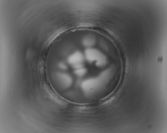 X0000111231401200907021348