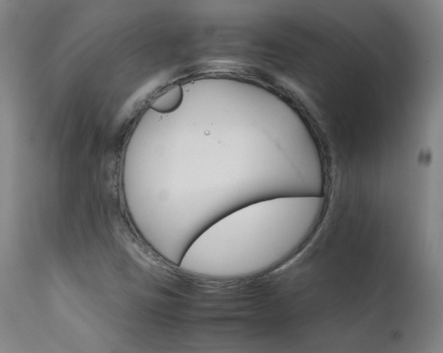 X0000111231403200907021348