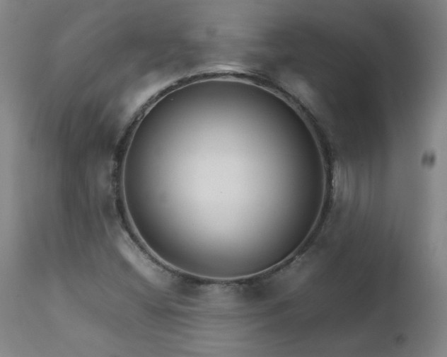 X0000111231404200907021348