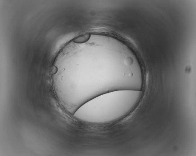 X0000111231405200907021348