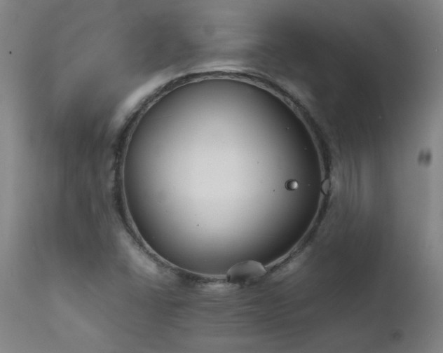 X0000111231406200907021348