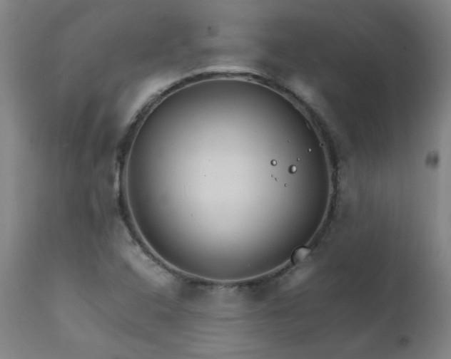 X0000111231408200907021348