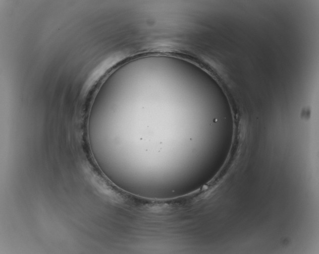 X0000111231410200907021348