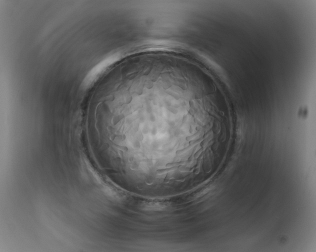 X0000111231411200907021348