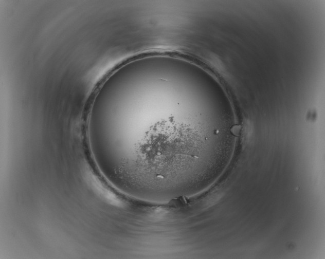 X0000111231412200907021348