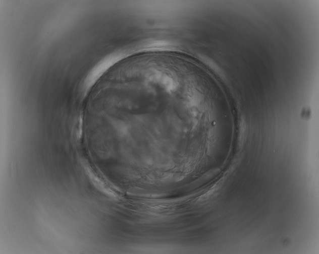 X0000111231413200907021348