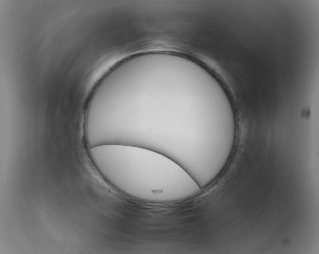 X0000111231415200907021348