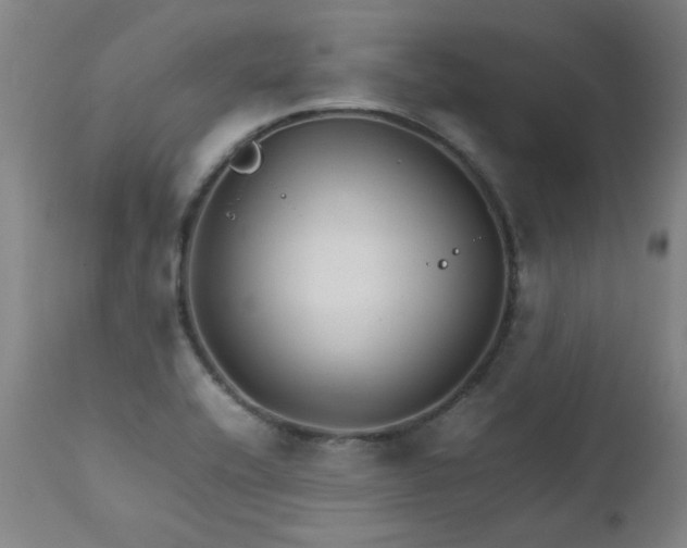 X0000111231416200907021348