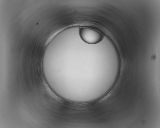 X0000111231417200907021348